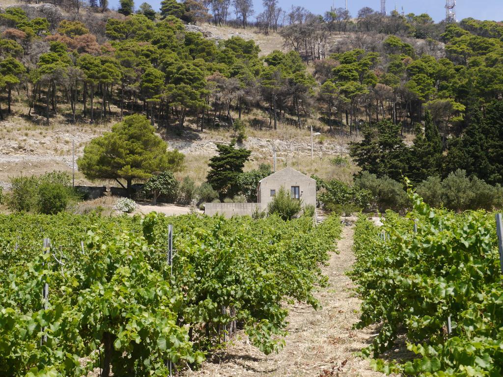 Casa Nel Vigneto Erice Guest House Exterior photo