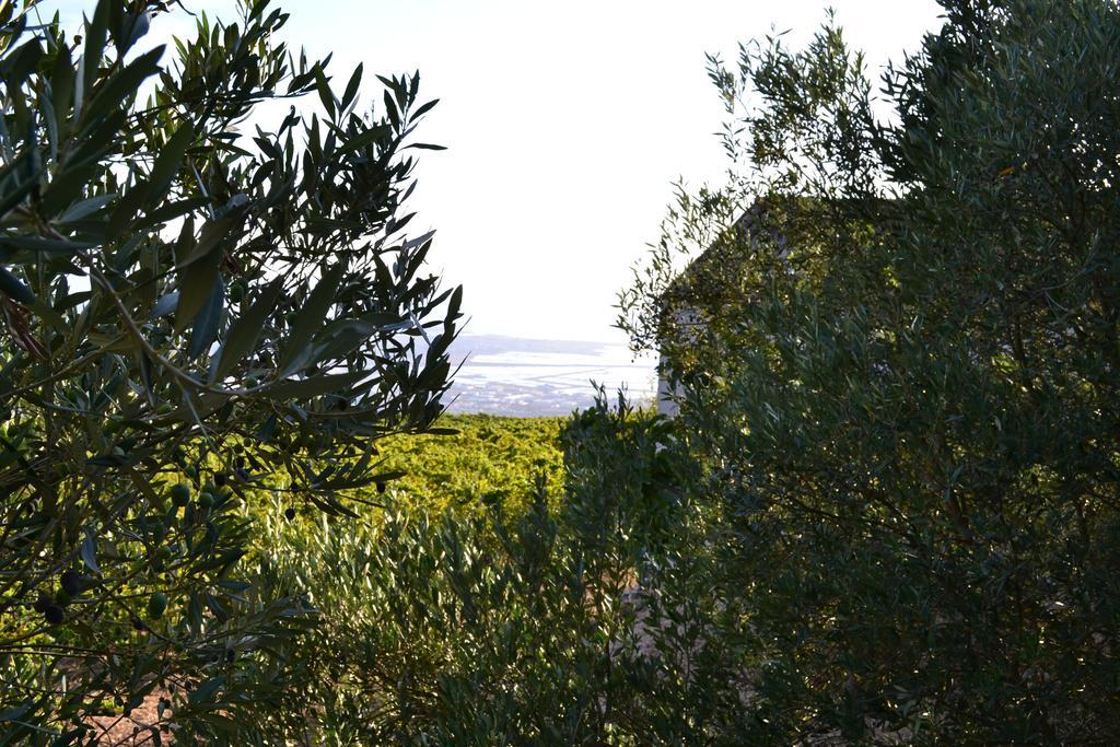 Casa Nel Vigneto Erice Guest House Exterior photo